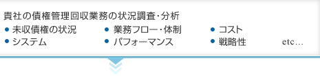 貴社の債権管理回収業務の状況調査・分析　未収債権の状況、業務フロー・体制、コスト、システム、パフォーマンス、戦略性、etc…